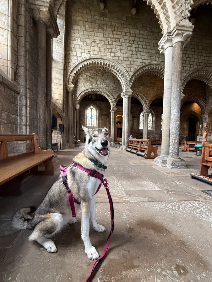 Gracie sitting inside a historic Norman church on an adventure outing